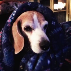 Meet your Posher, Theresa